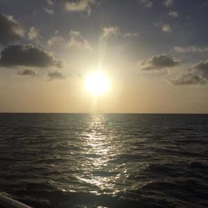 Meet your Posher, Bennita